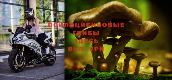 Альфа ПВП Балабаново
