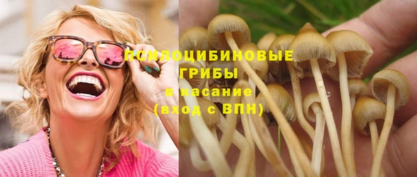 Альфа ПВП Балабаново