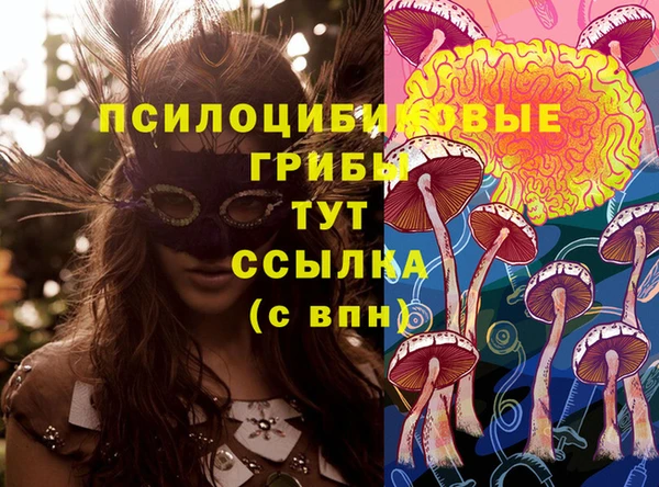 spice Баксан