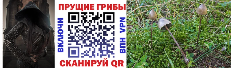 Галлюциногенные грибы ЛСД  купить наркотик  Гаврилов Посад 
